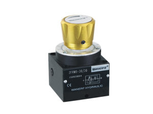 Клапан регулировки скорости 2FRM5